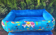 Large rectangle beds