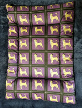 Chihuahua - Purple & Black with Smooth Coat