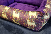 Chihuahua - Purple with Cream Smooth Coat