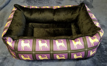 Chihuahua - Purple & Black with Smooth Coat