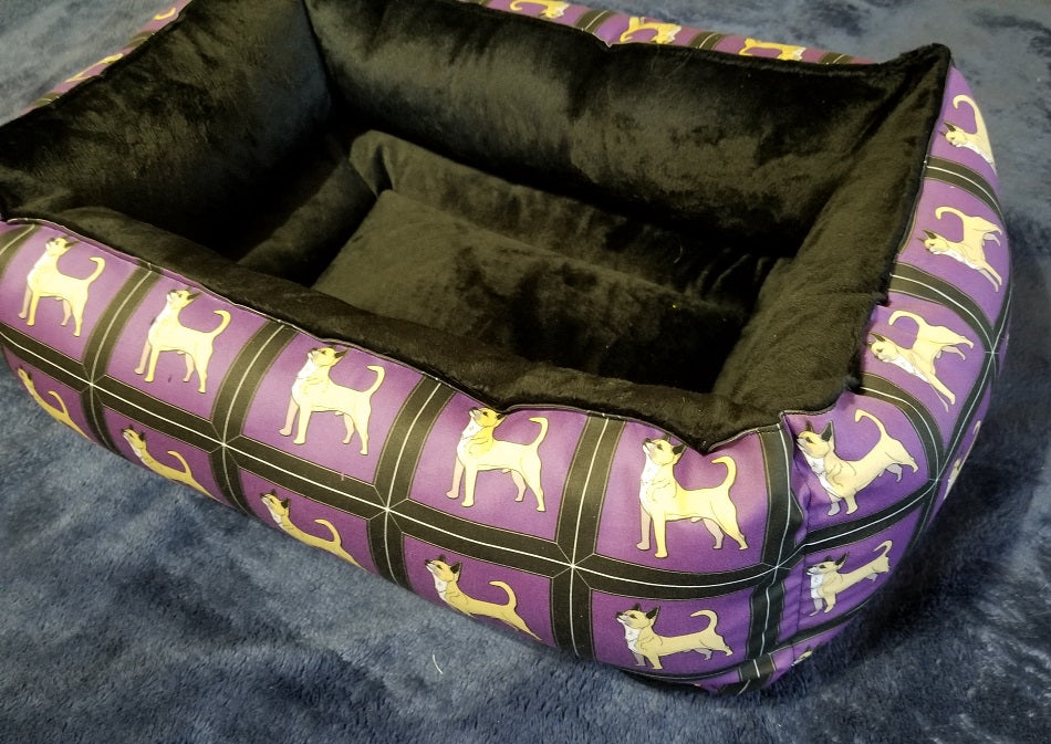 Chihuahua - Purple & Black with Smooth Coat