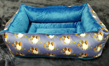 Papillon - Design 1 - Blue