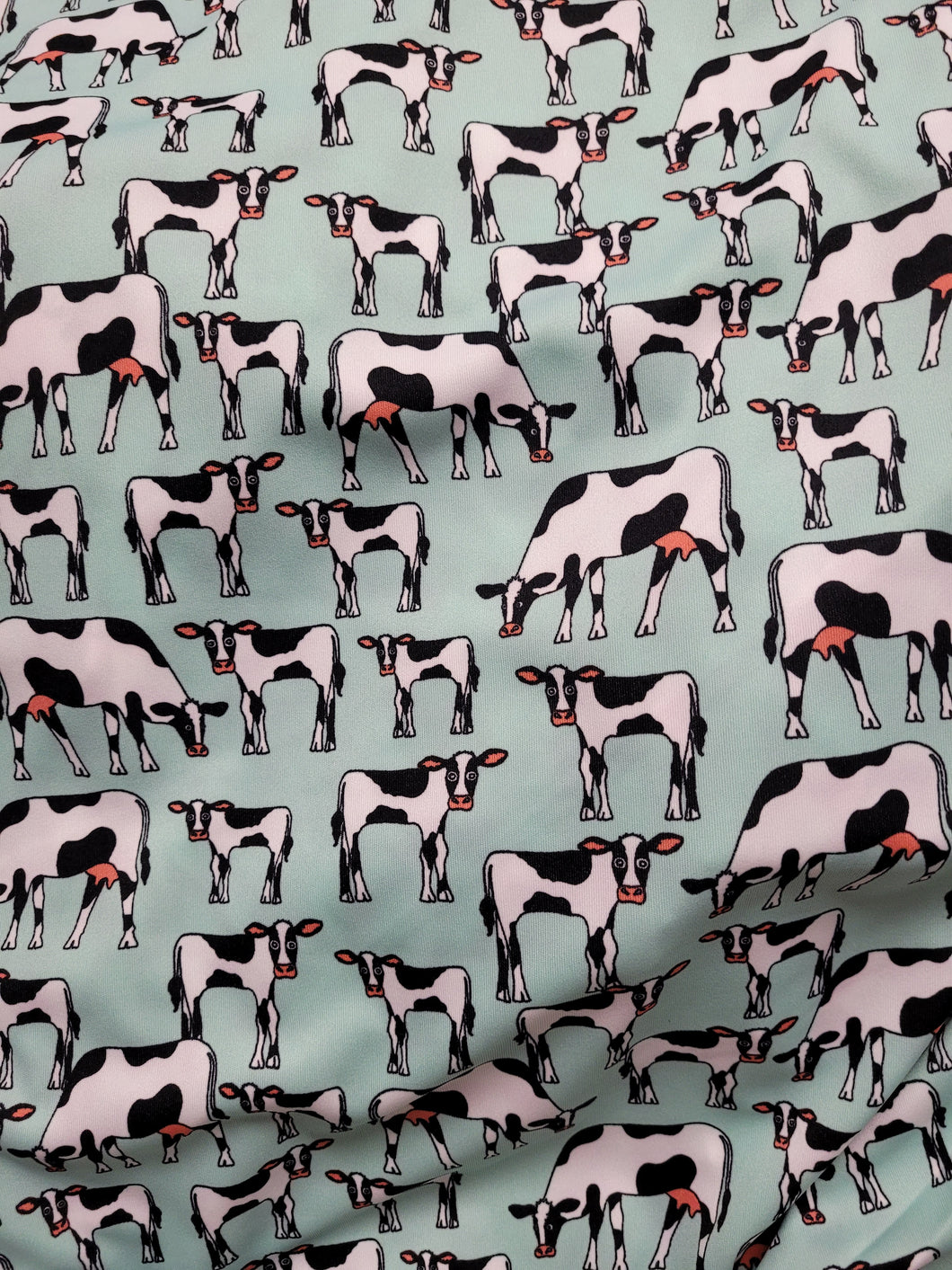 Slinky - COWS!!!