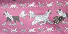 Crested Beds - Pink trotting with Puppies