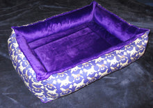 Crested Beds - Purple & Gold trotting