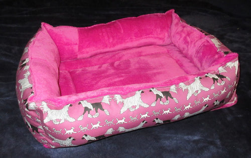 Crested Beds - Pink trotting with Puppies