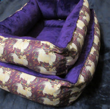 Chihuahua - Purple with Cream Long Coat