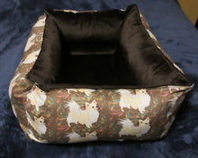Chihuahua - Brown with Cream Long Coat