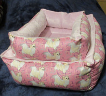 Chihuahua - Pink with Cream Long & Smooth Coats