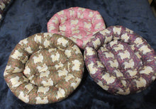 Chihuahua - Purple with Cream Smooth Coat