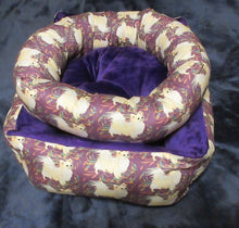 Chihuahua - Purple with Cream Long Coat