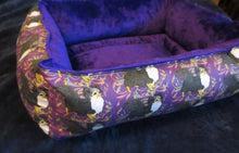 Chihuahua - Purple with Tri Long Coat