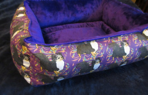 Chihuahua - Purple with Tri Long Coat