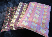 Chihuahua - Pink with Cream Long & Smooth Coats