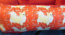 Chihuahua - Red with Cream Long Coat