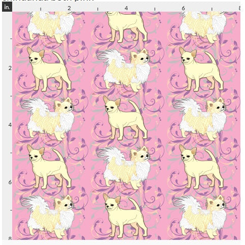 Chihuahua - Pink with Cream Long & Smooth Coats