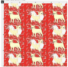 Chihuahua - Red with Cream Smooth and Long Coat