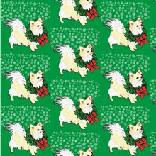 Chihuahua on Green