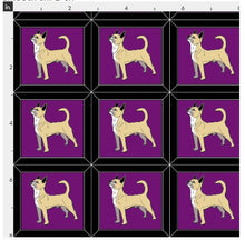 Chihuahua - Purple & Black with Smooth Coat