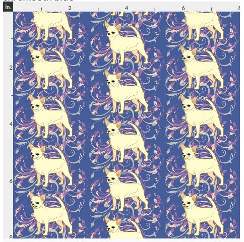 Chihuahua - Blue with Cream Smooth Coat