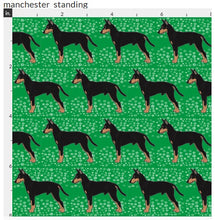 Manchester Terrier