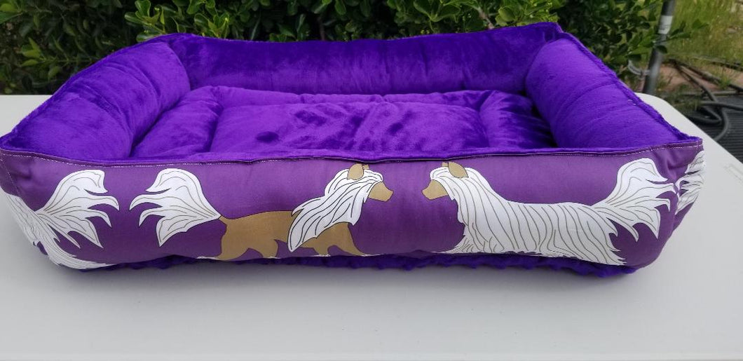 Crested Beds - LARGE Design Purple & Gold trotting
