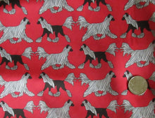 Crested Beds - LARGE Design Red Trotting